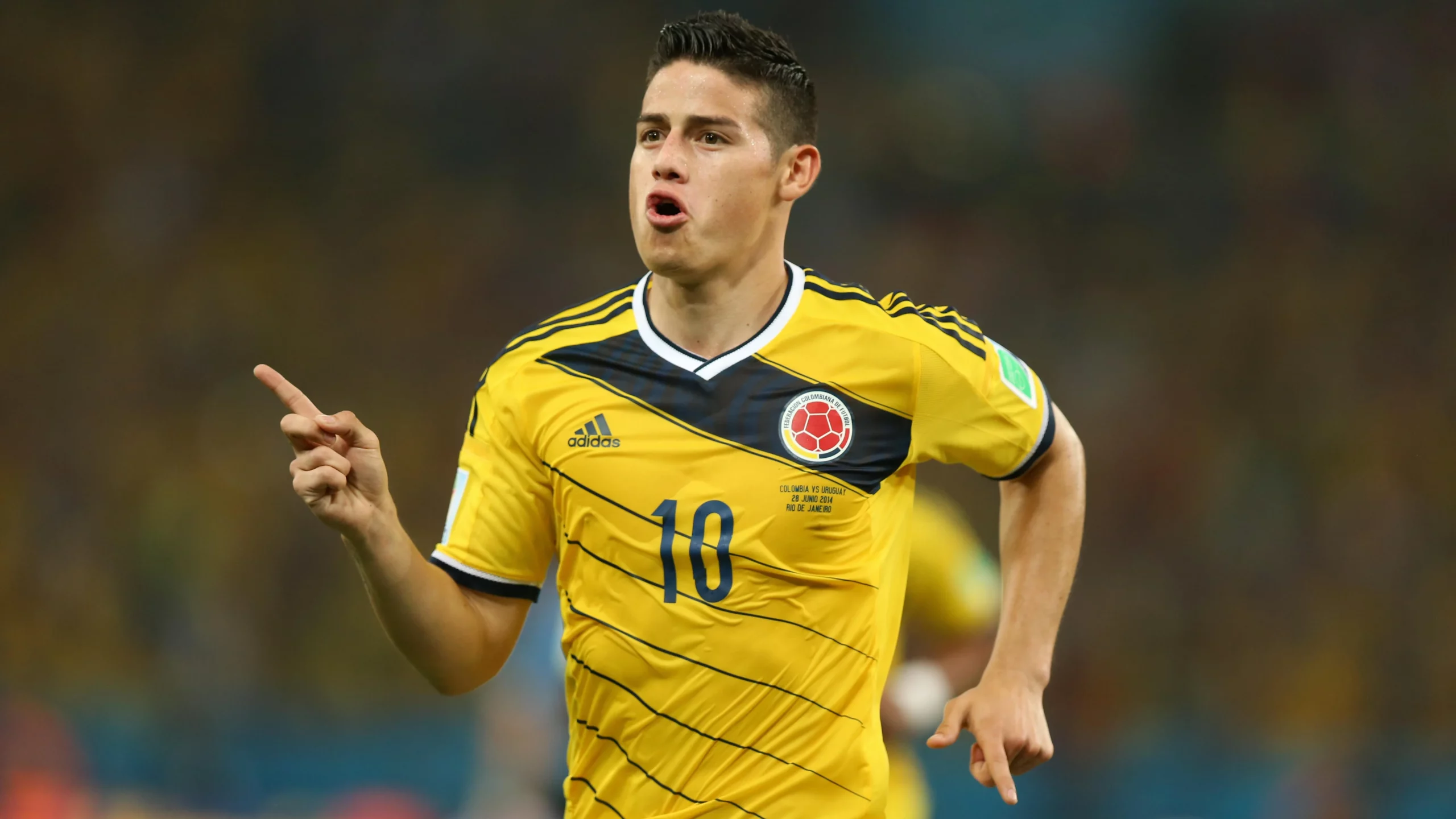 Colombia's James Rodriguez celebrates his breathtaking goal at the 2014 FIFA World Cup.